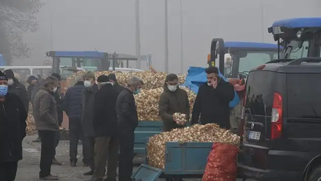 Taşköprü Sarımsağı, Avrupa Birliği yolunda