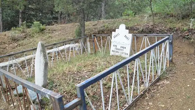 Türbedeki Çınar Ağacının Sırrı