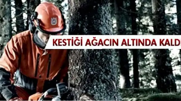 Üzerine ağaç düşen şahıs hayatını kaybetti