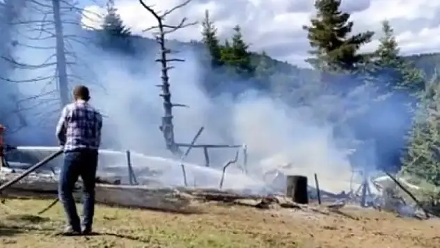 Yangında hayvanları kurtarmak isterken hastanelik oldu