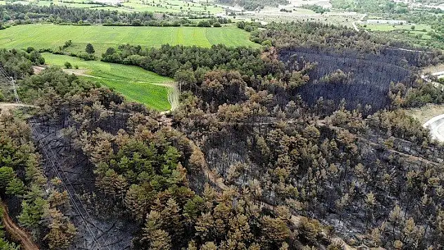 Yangında zarar gören bölge havadan görüntülendi