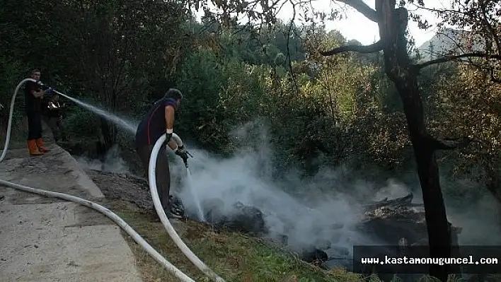 Küre'de Yangın Samanlık Kül Oldu