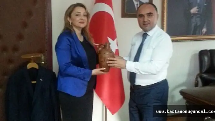 Nezaket Emine Atasoy, Kastamonu'da