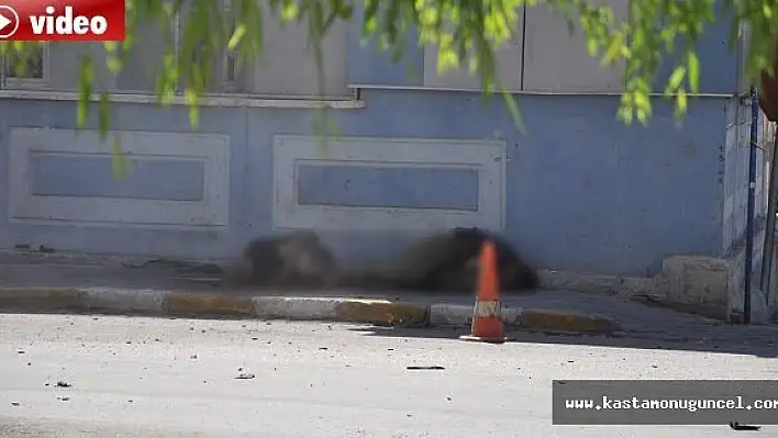 Karakola Saldıran 2 PKK'lı Böyle Vuruldu