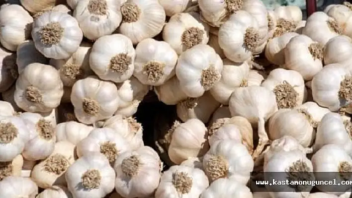 Sarımsakta Üretim Artırılmalı, İthalat Önlenmeli