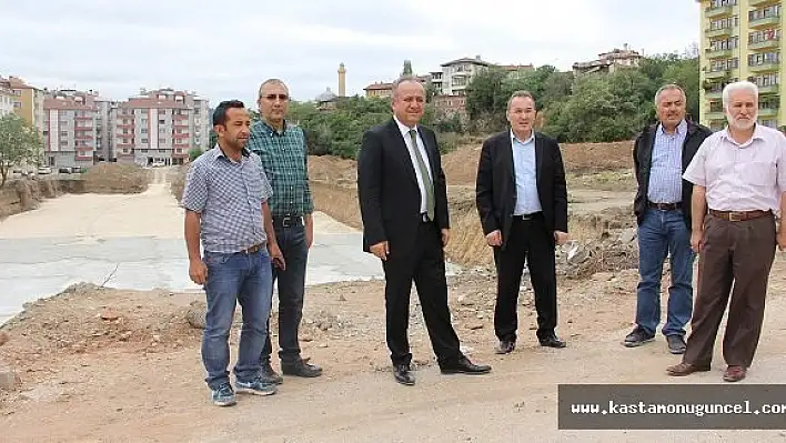 Tahsin Babaş, Çalışmaları Yerinde İnceledi