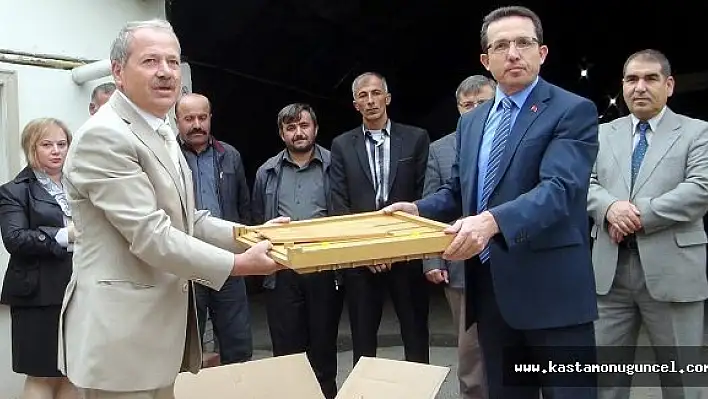 2016 Dünya Arı Günü Kastamonu'da Kutlanacak