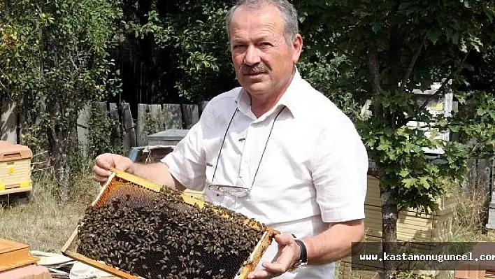Erden 'En Kaliteli Bal, Kastamonu'da Üretiliyor'