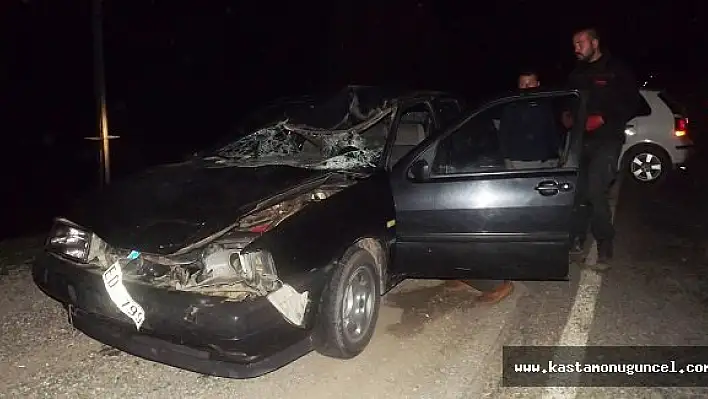 Otomobil Ata Çarptı: 2 Yaralı