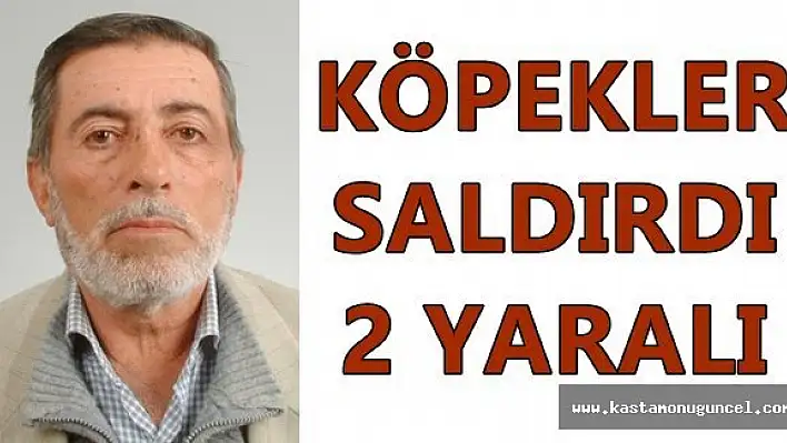 Çoban Köpekleri Saldırdı: 2 Yaralı