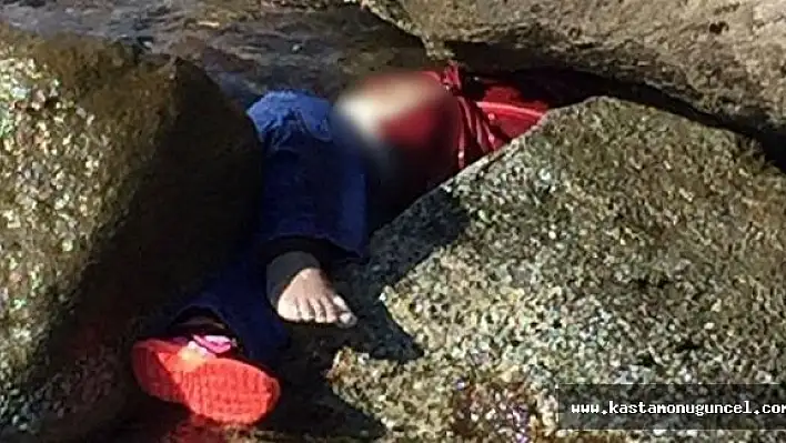 Günün En Acı Fotoğrafı Bodrum'dan