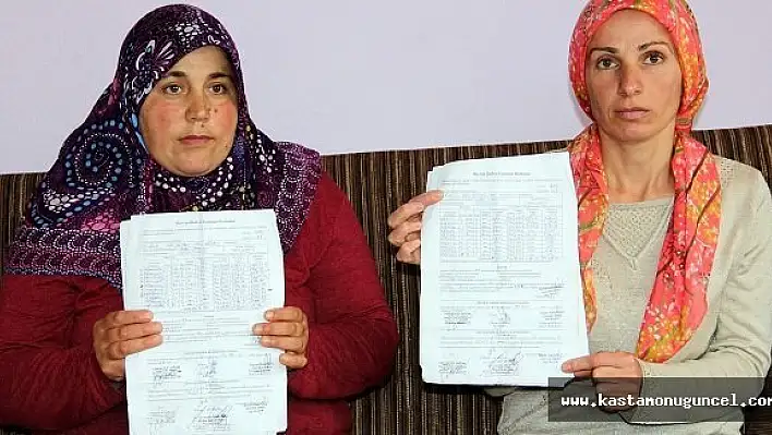 Kastamonu'da 40 Hayvan, Tüberkülozdan Öldü