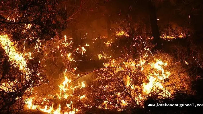Kastamonu'da Orman Yangını
