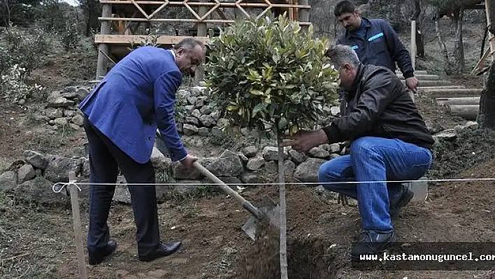 'Yeşil Alan Miktarını Arttırmak İstiyoruz'