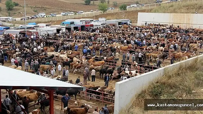Hayvan Pazarı'nda Üst Düzey Önlem Alındı