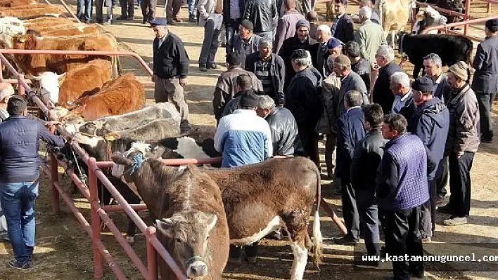 Açılan Hayvan Pazarı, Yüzleri Güldürdü