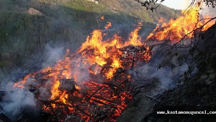 Kastamonu'da 4 Ev Yanarak Kül Oldu