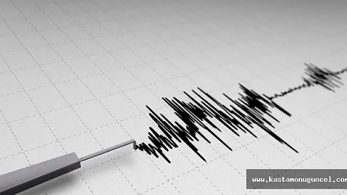 Japonya 6.9'luk depremle sarsıldı