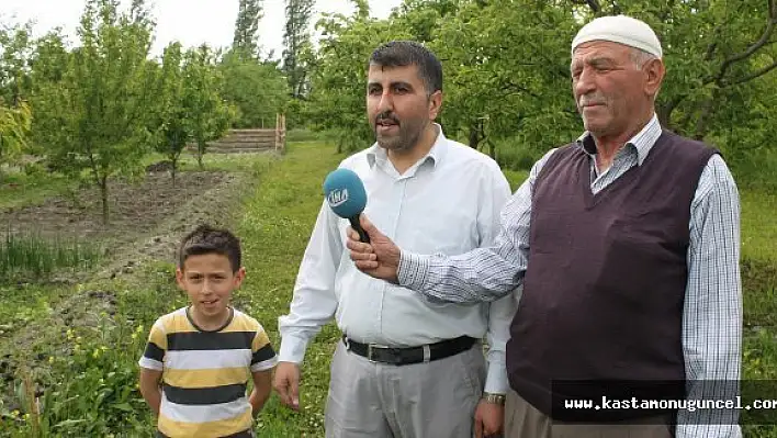 Bulduğu Yöntemle Domuz Sürüsünü Kaçırdı