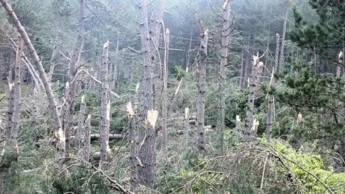 Taşköprü'de Kırık Devrik Zararı Ne Kadar?