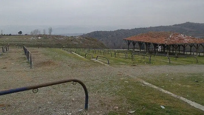 Tosya Hayvan Pazarı, Karantinaya Alındı