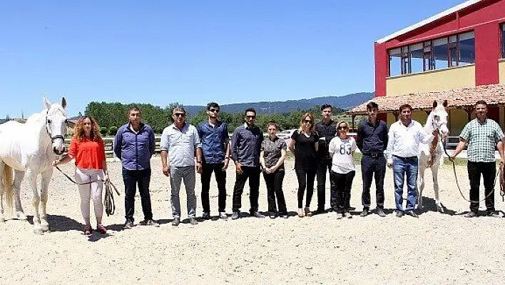 Engelli ve yaşlılar, atlarla şifa bulacak