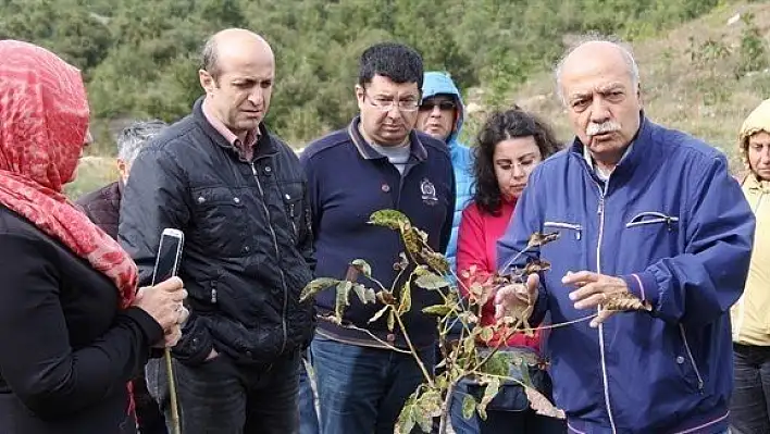 5 bin köye 5 bin orman projesi başladı