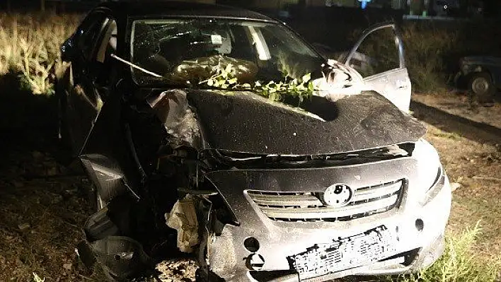 Otomobil, piknik yapan aileye çarptı: 2 ölü