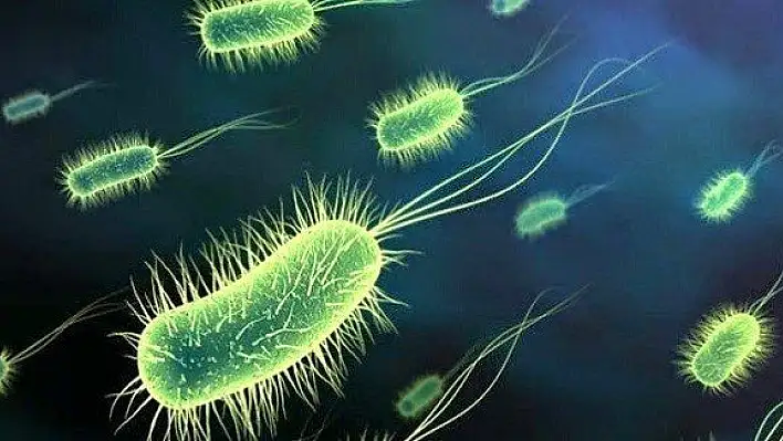 Vücudumuzda 90 trilyon mikrop taşıyoruz 