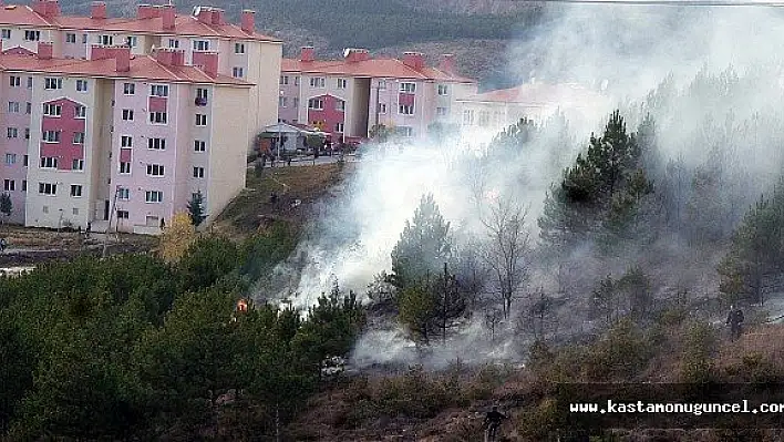 Ateşle oynayan çocuklar, ormanlık alanı yaktı