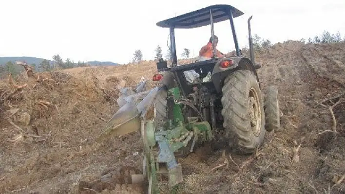 Orman gençleştirme çalışmaları sürüyor