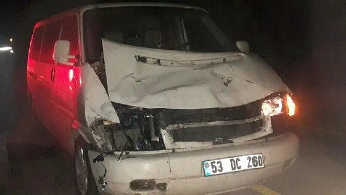 Minibüs aniden yola çıkan ineğe çarptı