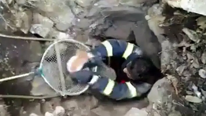 6 metrelik su kuyusuna düşen kediyi, itfaiye kurtardı