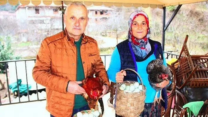 8 yumurta ile başladı şimdi talebe cevap veremiyor