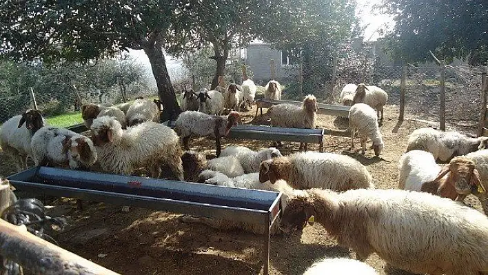Kastamonu OBM'den 44 milyon 630 bin TL katkı