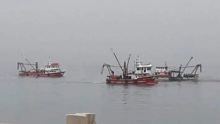 Cideli çevrecilerden kum midyesi avcılığına tepki!
