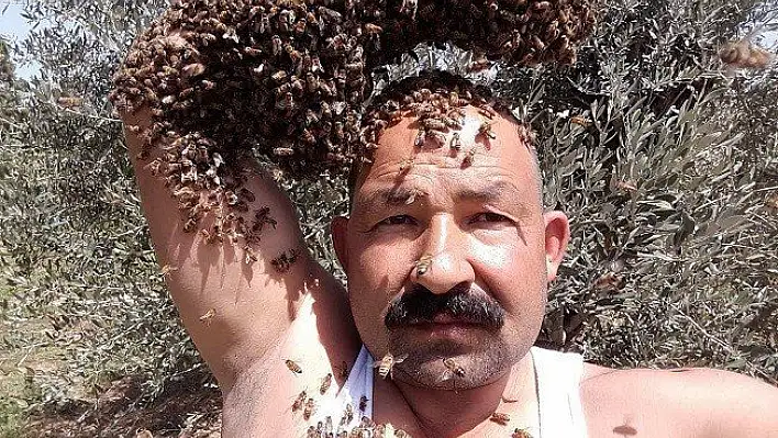 Arıları baş tacı yapan adam