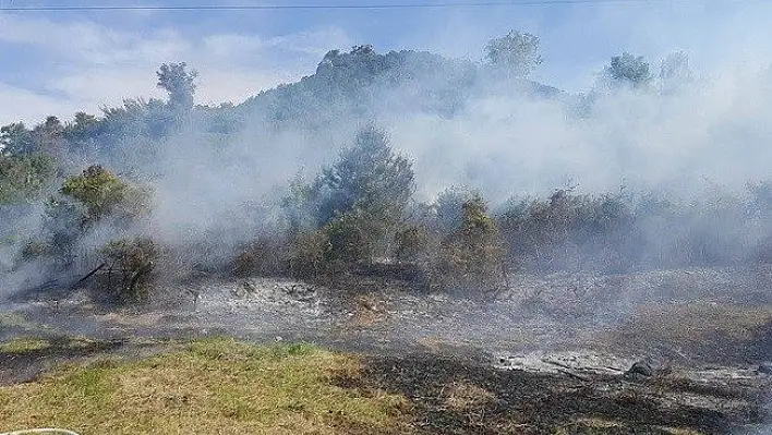 Otları yakarken ormanı tutuşturdu
