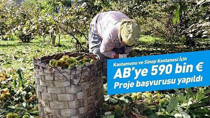 Kastamonu ve Sinop Kestanesi İçin AB'ye Proje
