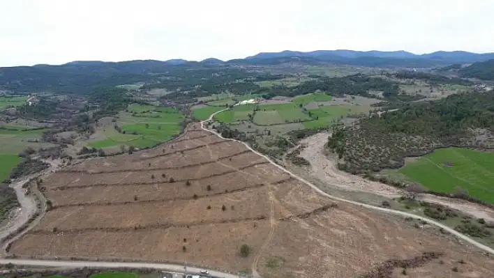 Kastamonu'da 200 dekara ceviz ve badem dikildi