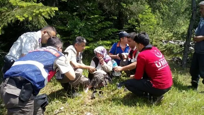 Kaybolan zihinsel engelli kadın ormanlık alanda bulundu