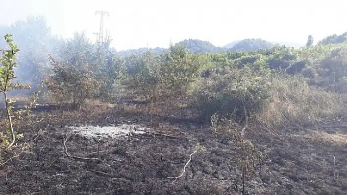 Kastamonu'da çıkan anız yangını, ormana sıçramadan söndürüldü