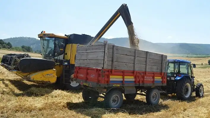 Buğdayın atası 'Siyez'in hasadı devam ediyor