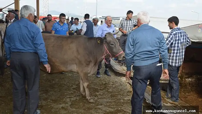 Hayvan Pazarında kurban hareketliliği başladı