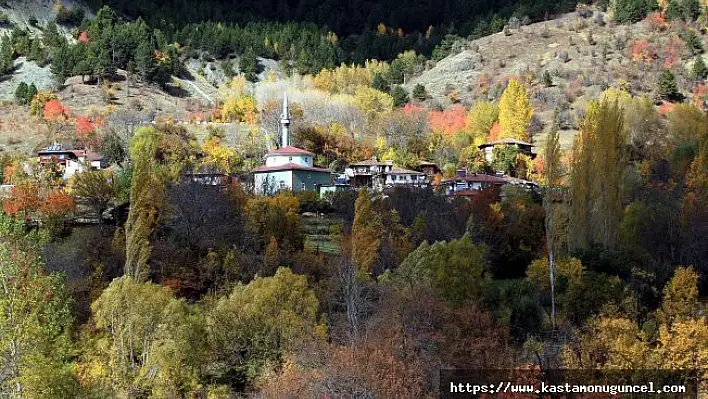 Anadolu'nun &quotYüce Dağı" Ilgaz rengarenk