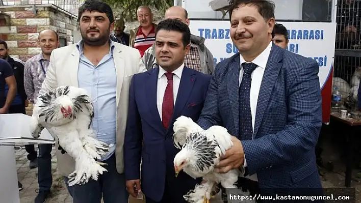 Horoz-tavuk çifti için müzayedede 30 bin 461 lira