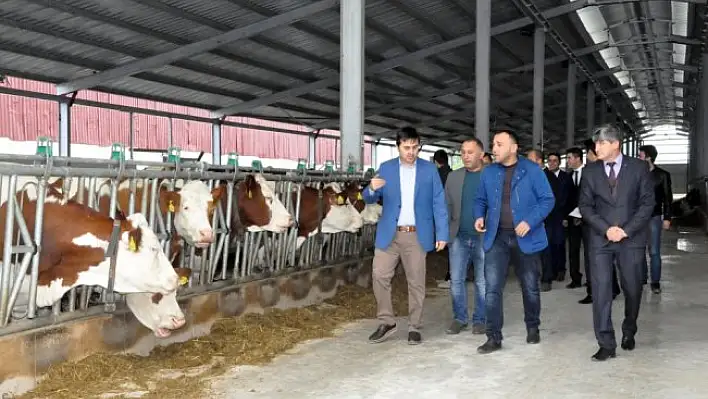 TKDK 6 yılda 57 bin kişiye iş imkanı sağladı