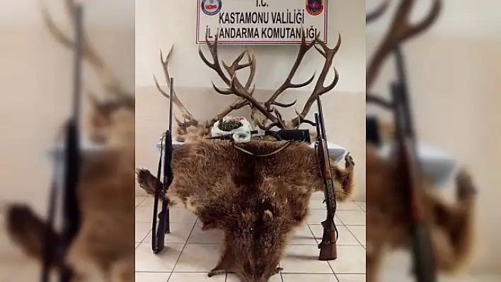 Ayı, karaca ve geyik vuran zanlılara 67 bin TL para cezası