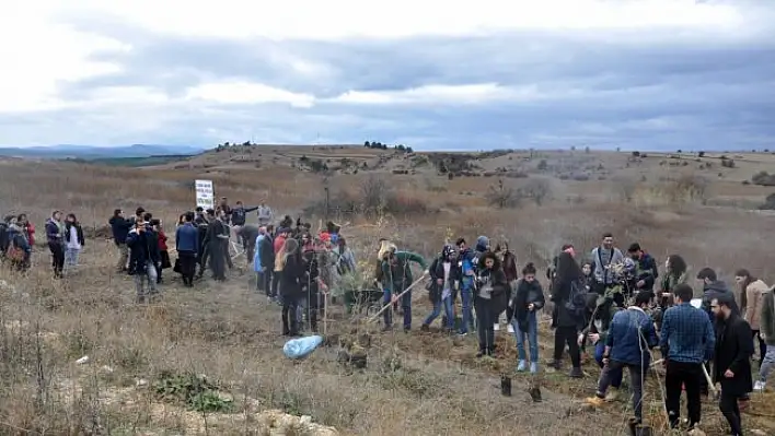 Trafik kazasında ölen arkadaşları anısına hatıra ormanı oluşturdular