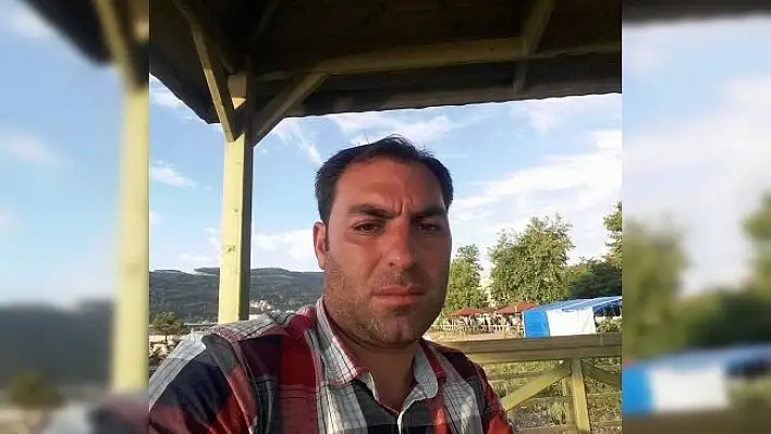 Üstüne ağaç yuvarlanan orman işçisi, hayatını kaybetti